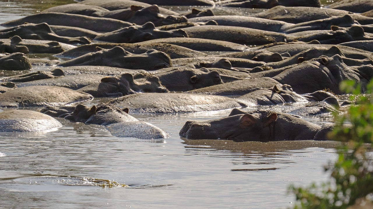 How to Support Local Communities in Tanzania’s Serengeti